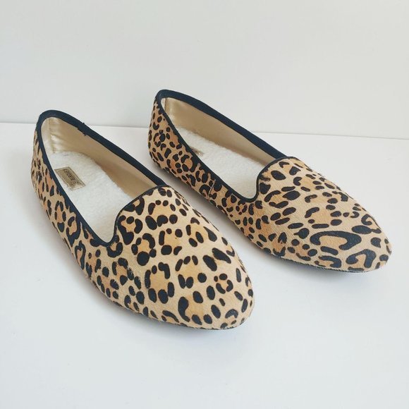 birdies starling cheetah